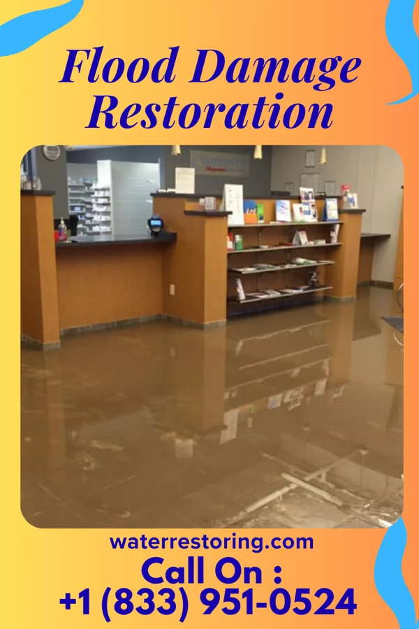 Flood Damage Restoration in North Pekin, IL