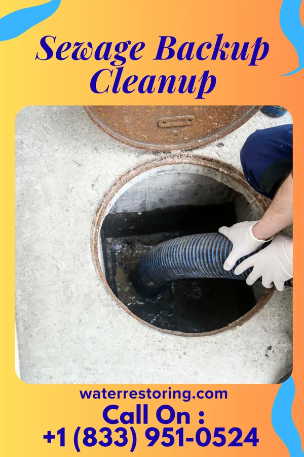 Sewage Backup Cleanup in North Pekin, IL